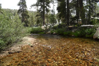 DSC_4392 (Large).JPG